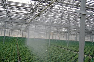溫室大棚內傳感器的作用